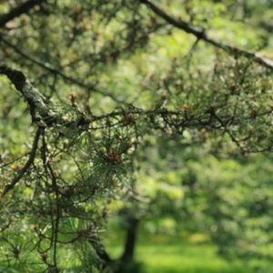 Meet your Posher, Ella